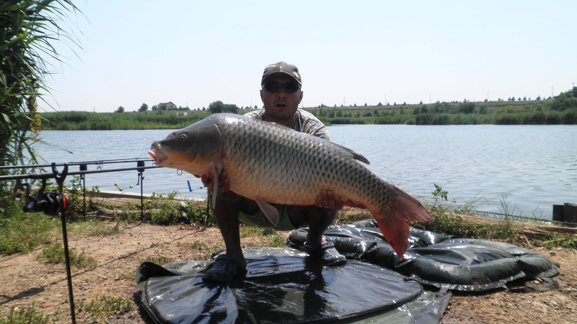 Tancabesti - p7100115.JPG